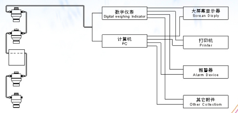 ZSW-D型G粉色视频免费观看称重系统方案示意图